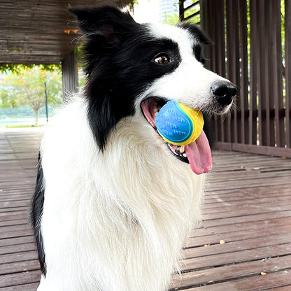 Interactive Dog Teeth-Cleaning Ball